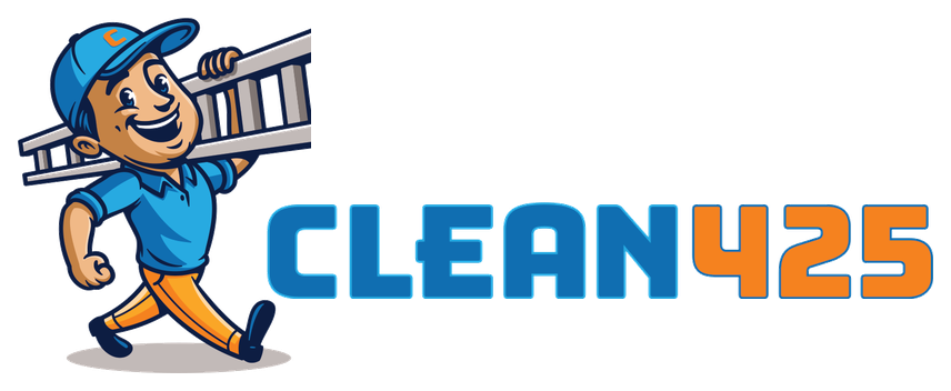 Clean425 Roof Cleaning